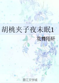 胡桃夹子夜未眠