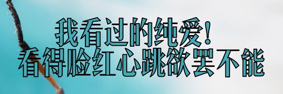 我看过的纯爱！看得脸红心跳欲罢不能